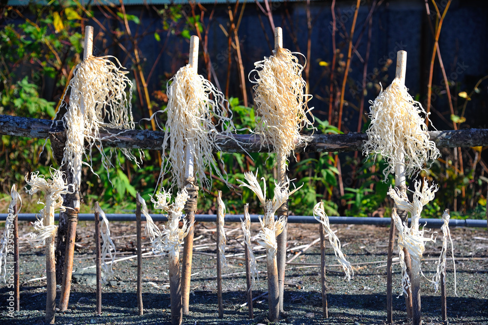 カムイノミ イナウ アイヌ儀式 の Stock フォト | Adobe Stock