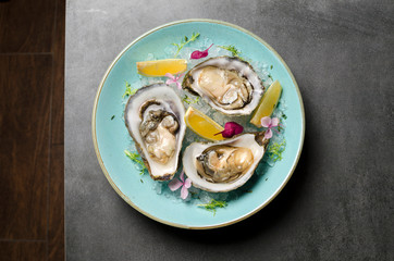 Oysters in ice with flowers and lemon on a blue plate