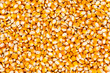 close up of corn seeds background