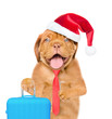 Funny puppy with red tie and christmas hat holds  suitcase. isolated on white background