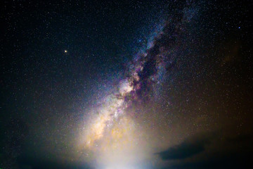 milky way on the sky in dark forest