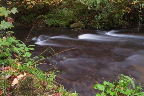 Fényképezés Long exposure photographs of rolling river with fall foliage