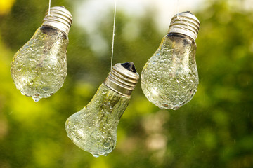 light bulbs hang on the face wet from the rain on a natural background