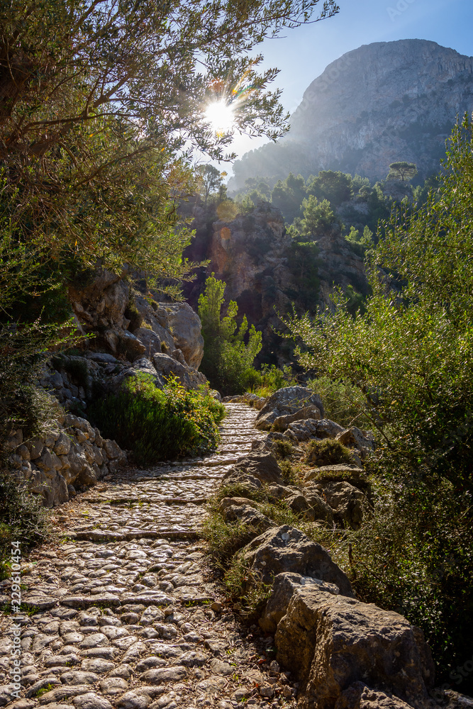 Steiniger Wanderweg in der Serra de Tramuntana auf Mallorca