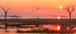 Panorama of a sunset over Lake Kariba with a silhouette of a Grey Heron and Egyptian Geese in flight.  Matusadona NationalPark, Zimbabwe