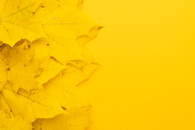 Top View Of Autumn Leaves On Yellow Background