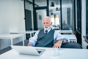 Wall Mural - Portrait of senior boss at work.