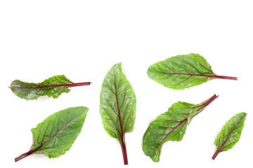 fresh beet leaf isolated on white background. Top view. Flat lay pattern