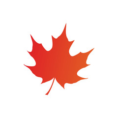 maple leaf logo icon design template vector