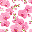 Seamless floral pattern with bright pink purple orchid phalaenopsis on white background. Exotic tropical flowers. Vector design illustration for fashion, fabric, textile, decoration.