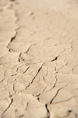 Wall Mural - Cracked desert floor