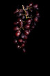 grapes (dark)