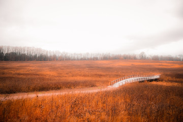 traditional bridge with orange grass fields on cloudy sky background in winter - philadelphia, penns