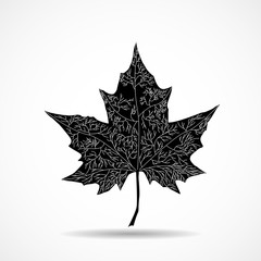 Wall Mural - maple leaf on white background. vector illustration