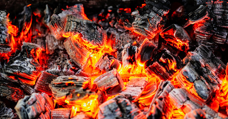 Burning coals of wood as a background