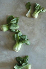 Wall Mural - Fresh bok choy on a concrete surface