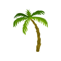 Wall Mural - Tall palm tree with large bright green leaves. Tropical plant. Nature theme. Flat vector for summer postcard or advertising poster