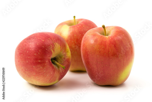 Obraz jabłka  odmiana-jablek-ambrosia