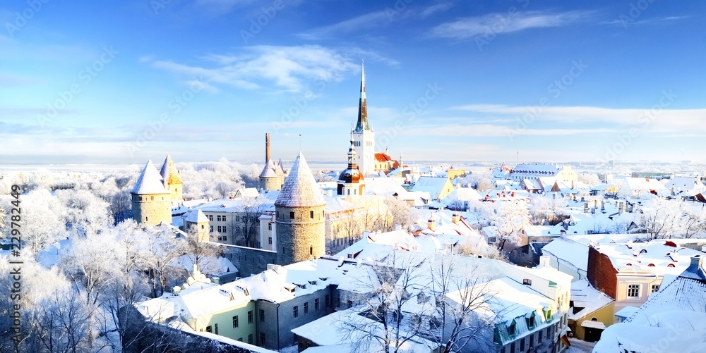 Obraz na płótnie Tallinn city. Estonia. Snow on trees in winter, panoram view w salonie