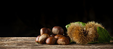 Chestnuts And Chestnut Bur On Wooden Table.