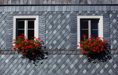 Two white Windows with red Geranium Flowers at the Facade with a decorative Pattern of grey Slate