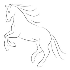 Wall Mural - Vector black line horse on hind legs on white background.