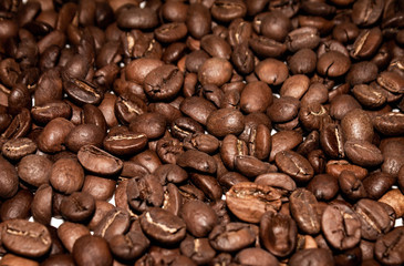 background of coffee beans close-up