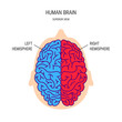 Human brain vector concept