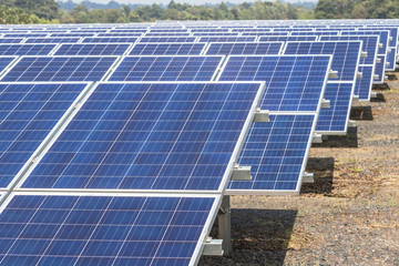 Close up rows array of solar cells or photovoltaics in solar power plant systems convert light energy from the sun into electricity alternative renewable clean energy from nature