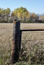Close Up View Of An Old Weathered Fence Post In A Farm Field With Autumn Fallow Crops