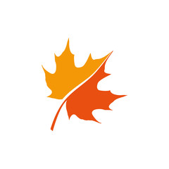 maple leaf logo icon design template vector