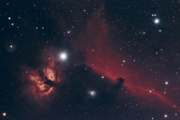 Wall Mural - The Horsehead and Flame Nebula in the constellation Orion as seen from Mannheim in Germany.