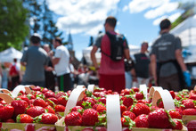 Strawberries For Sale At The Farmer's Market With Blurry Food Stalls In The Background - Closeup Picture With Vibrant Colors, Taken Outside In A French Canadian Farmer's Market On A Very Sunny Day
