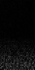 Binary Code Screen