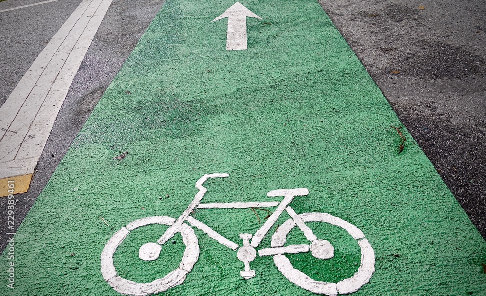 bicycle lane on the pavement road in public park. Bike lanes or cycle ...