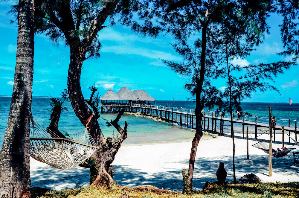 Paradise beach view hammock on a white sand blue sea ocean - obrazy, fototapety, plakaty 