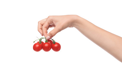 Bunch cherry tomatoes in hand on white background