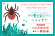 Preventing tick bite and lyme disease symptoms. Vector cartoon medical infographic.