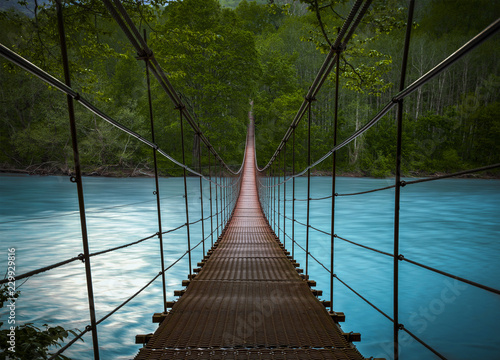 Fototapeta do kuchni bridge in forest