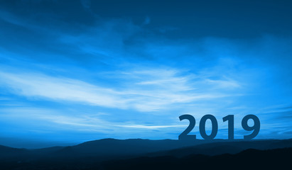 Wall Mural - New year 2019