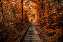 Love Tunnel In Autumn