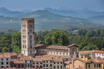 Wall Mural - Rooftop view of the Basilica of San Frediano with mountains in the background in Lucca, Tuscany