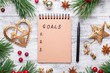 © lizaelesina - Fir branches, gifts and an notebook on a light wooden background. New goals. Cranberries, spices, holly berries.