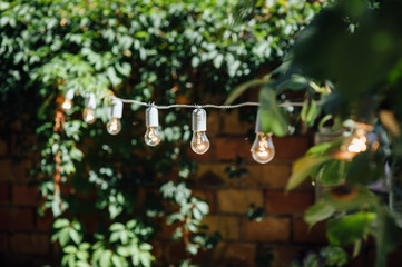 Light bulb decor in outdoor party. Party