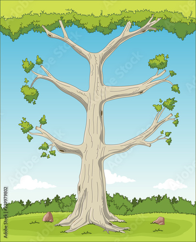 Big tree on green park with grass. Nature landscape.