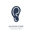 Human Ear icon. Trendy flat vector Human Ear icon on white background from Human Body Parts collection
