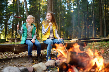 Wall Mural - Cute little sisters roasting hotdogs on sticks at bonfire. Children having fun at camp fire. Camping with kids in fall forest.