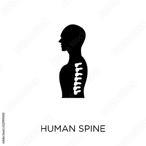 Human Spine Icon Human Spine Symbol Design From Human Body Parts Collection Simple Element Vector Illustration Can Be Used In Web And Mobile Buy This Stock Vector And Explore Similar Vectors