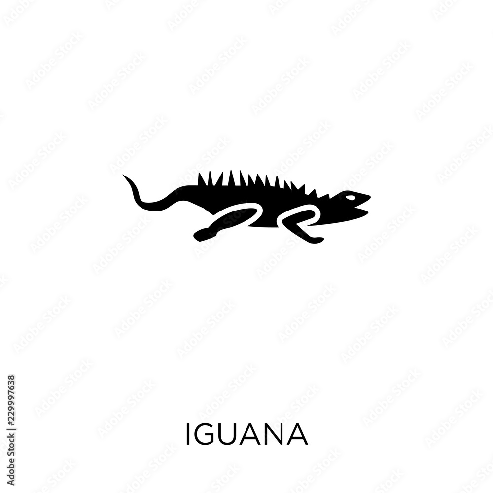 iguana icon. iguana symbol design from Animals collection.