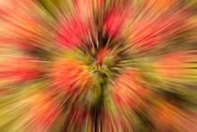 Abstract Background From Nature Using Motion Blur Or Lens Blur Or Radial Or Zoom Blur 